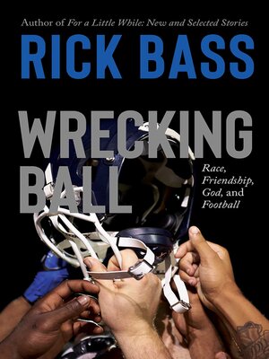 cover image of Wrecking Ball
